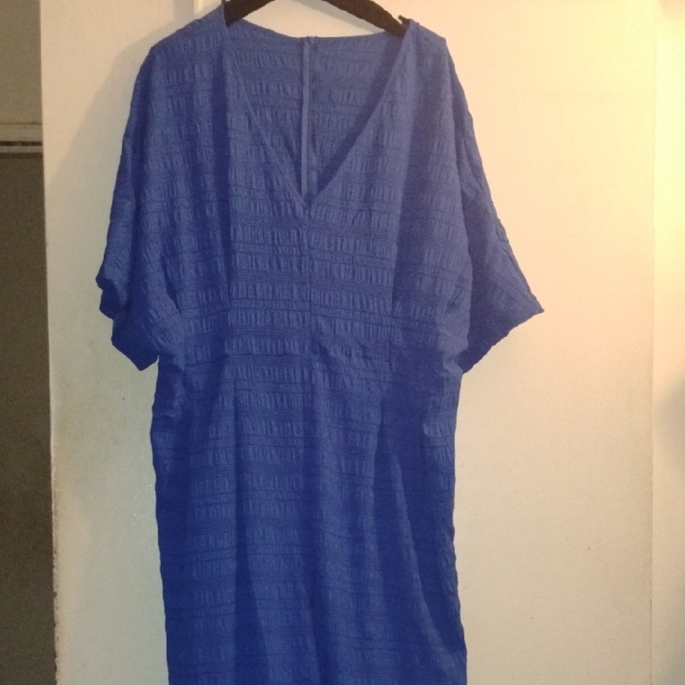 Women's Blue Textured V-Neck Dress